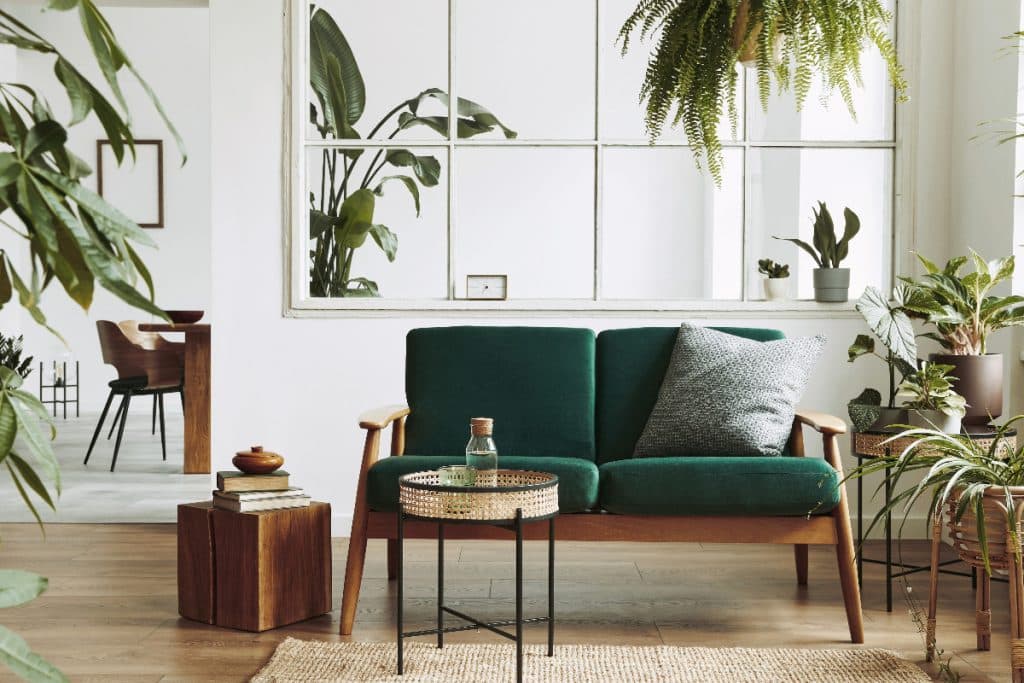 decoracao com plantas
