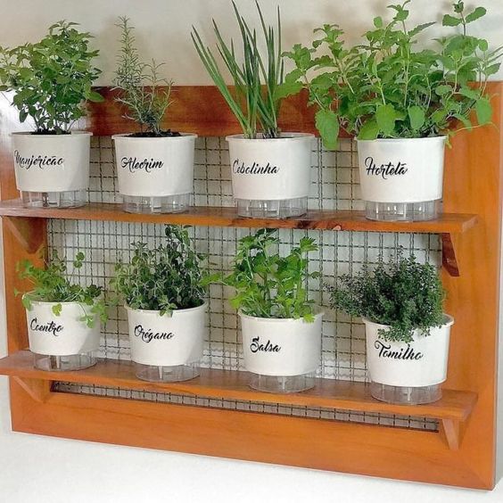 horta em apartamento e casa