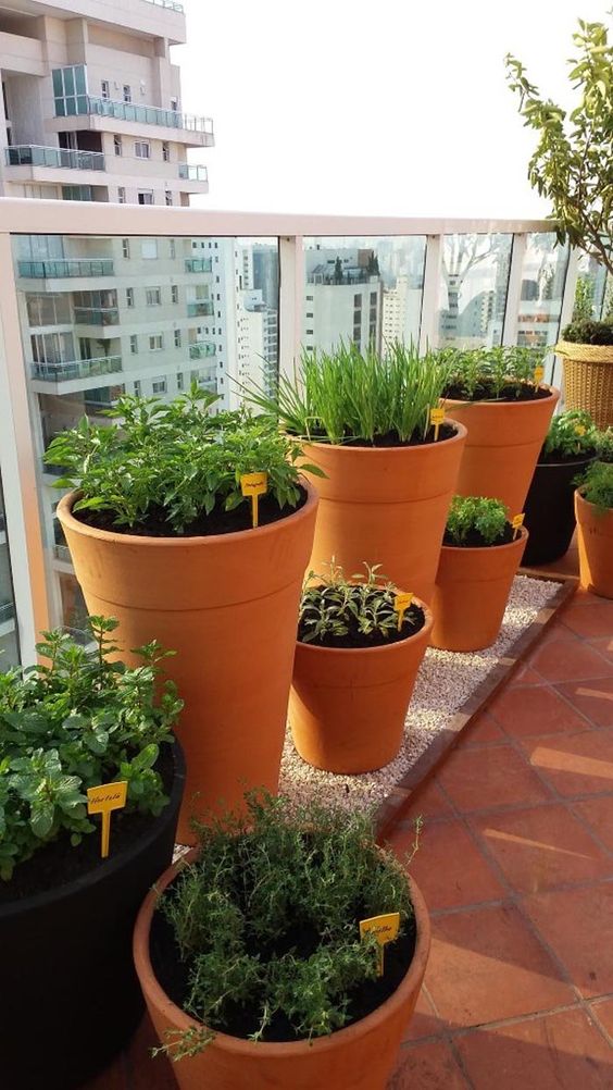 horta em apartamento