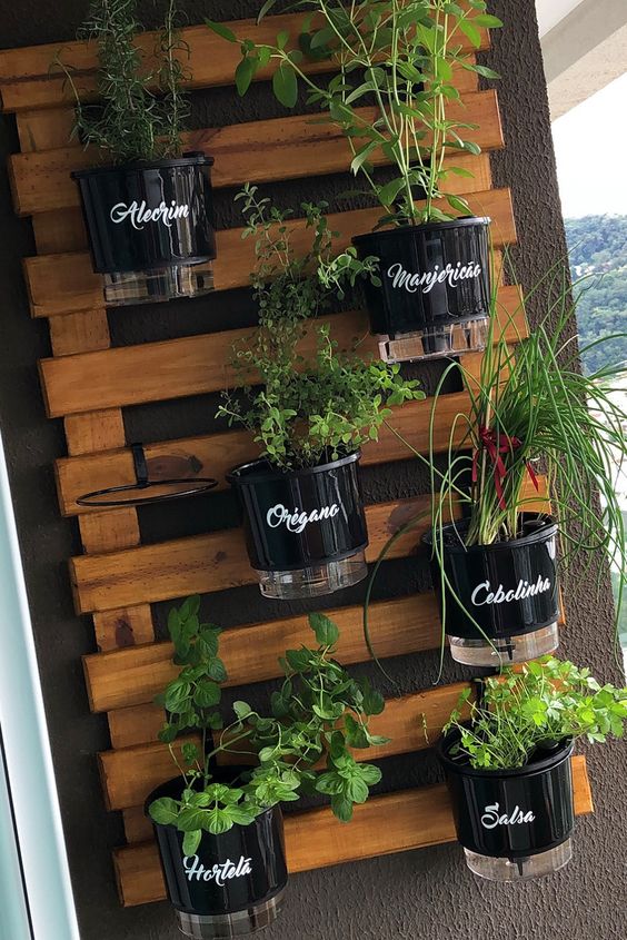horta vertical