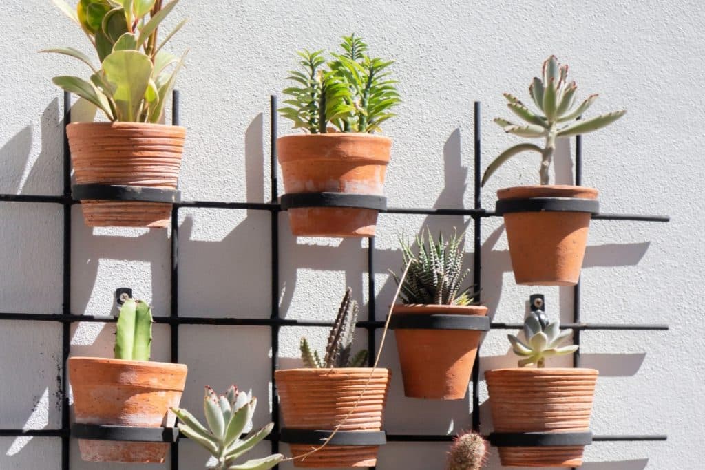 Transforme seu espaço com plantas