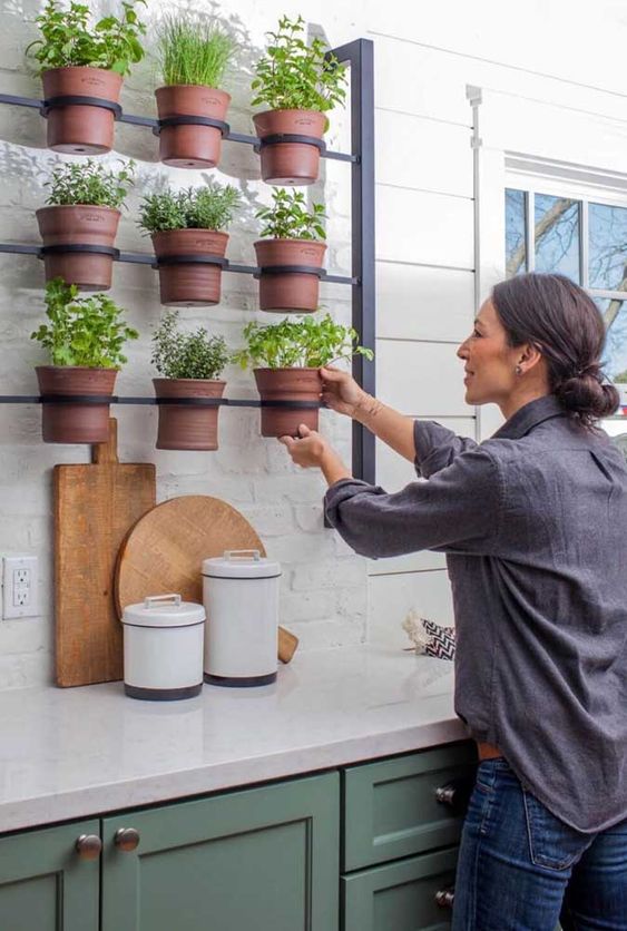 hervas aromaticas na cozinha