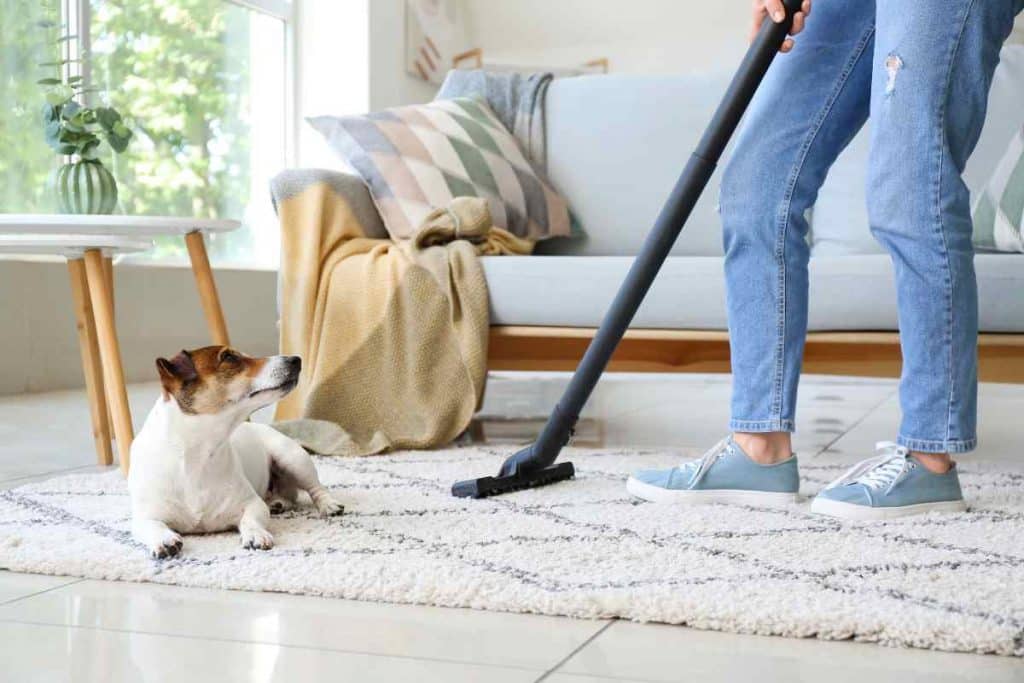 limpeza geral em casa