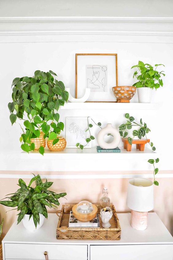 decoracao com plantas