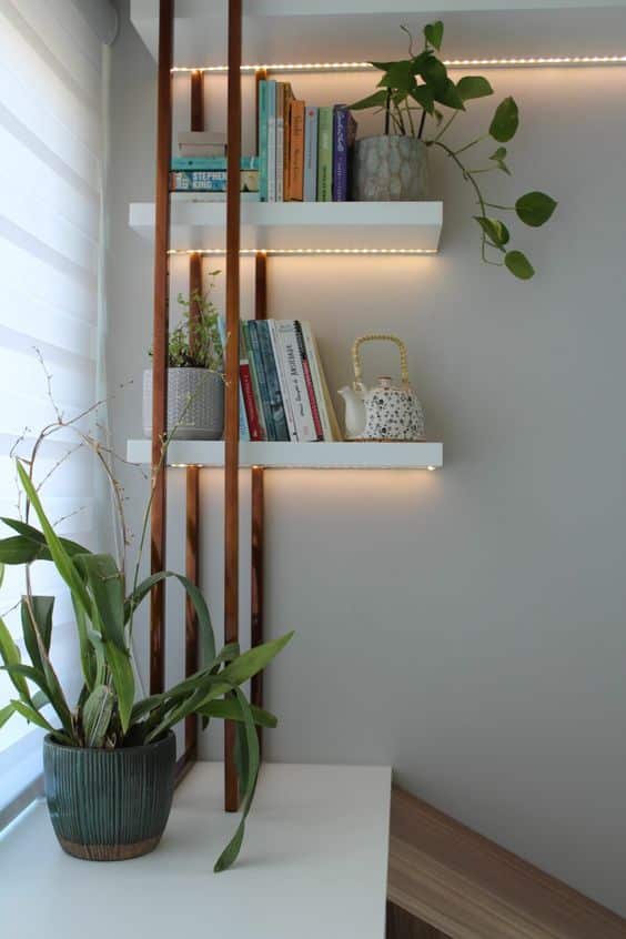 organizacao para livros