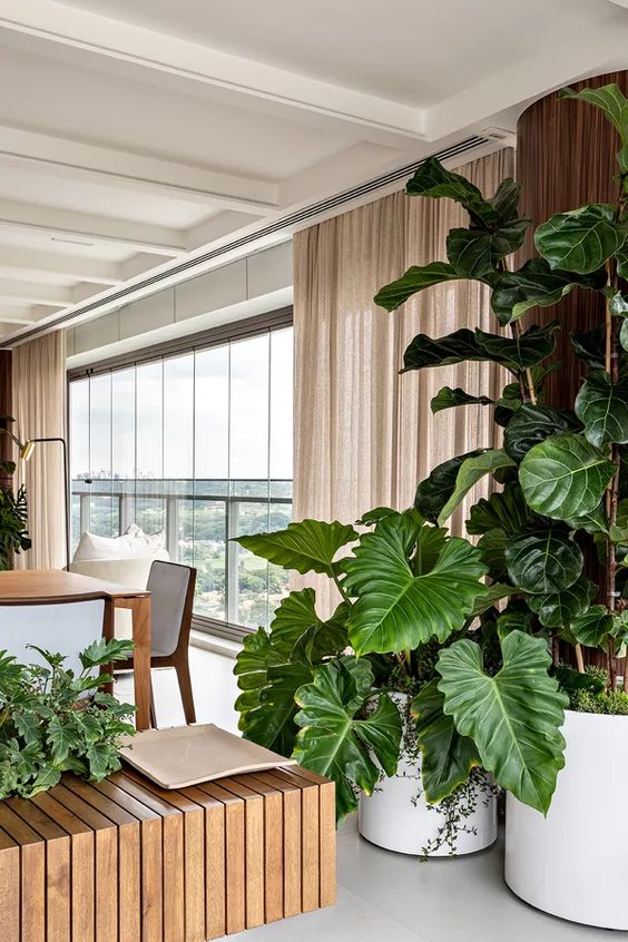plantas grandes na decoracao