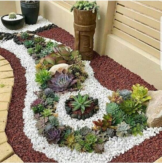 suculentas no jardim de inverno