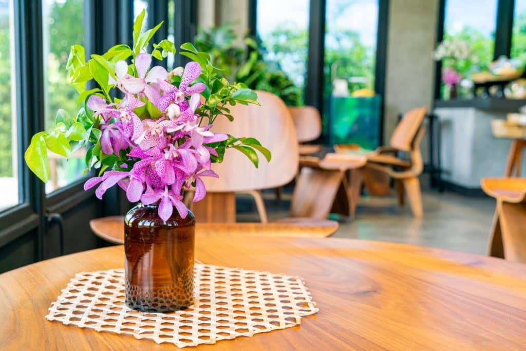 Orquídeas na decoração da casa