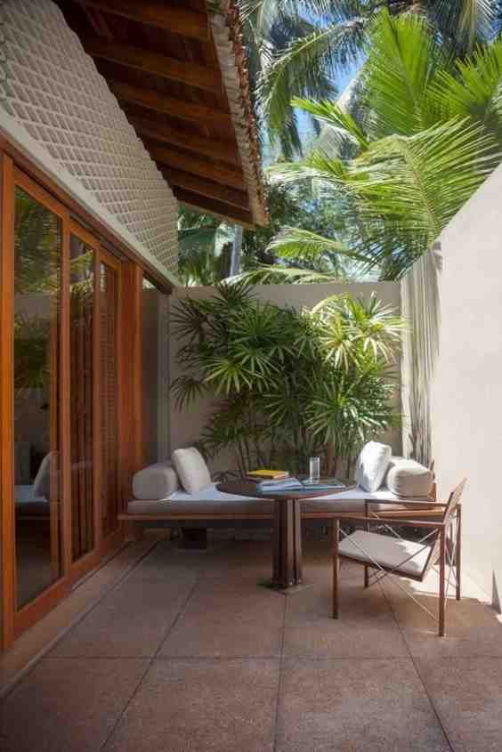 plantas