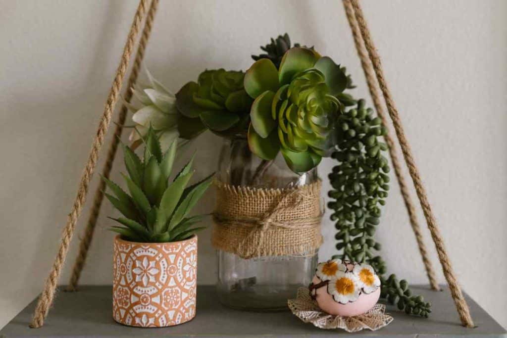 suculentas na decoracao