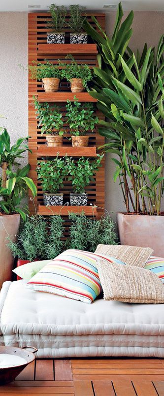 planta vertical na area externa pequena