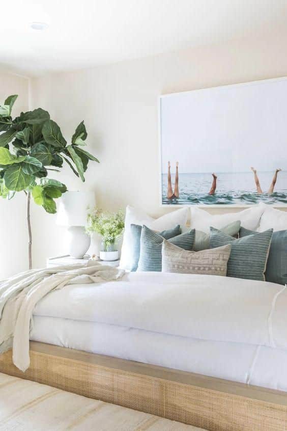 plantas na decoracao de interiores