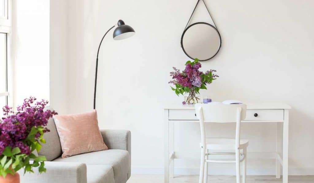 plantas e flores em casa