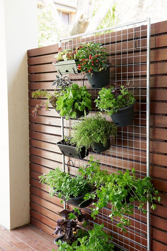 jardim vertical