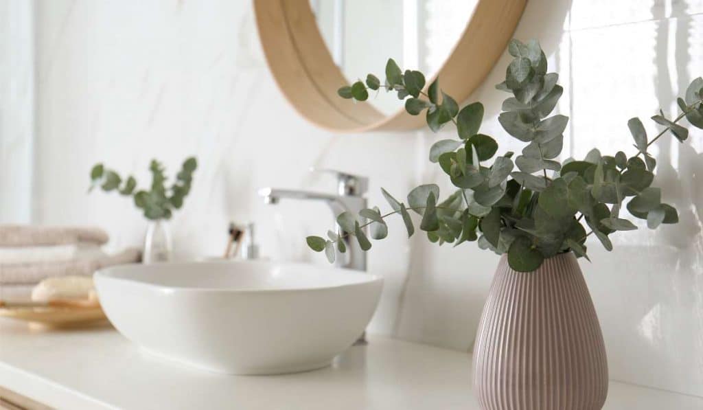 plantas no banheiro